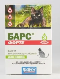 Обробка кішок і кошенят від бліх ніж і як це проводиться (кішок) Обробка кішок і кошенят від бліх ніж і як це проводиться