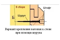 Обшивка лазні всередині вагонкою своїми руками схеми монтажу, покриття (фото і відео) (вагонкою) Обшивка лазні всередині вагонкою своїми руками схеми монтажу, покриття (фото і відео)