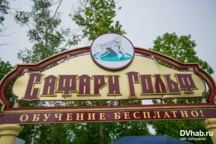 Навчання грі в міні-гольф (грі) Навчання грі в міні-гольф