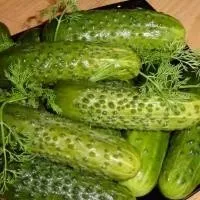 Огірки солоні - (більше 40 рецептів) з фото на (Швидкі малосольні огірки) Огірки солоні - (більше 40 рецептів) з фото на