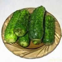 Огірки солоні - (більше 40 рецептів) з фото на (огірки) Огірки солоні - (більше 40 рецептів) з фото на