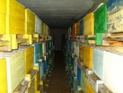 Бджоляник для бджіл як побудувати зимівник для бджіл, будівельний портал (зимівник) Бджоляник для бджіл як побудувати зимівник для бджіл, будівельний портал