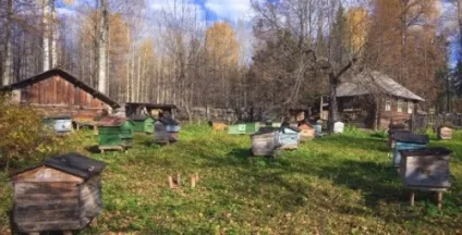 Бджоляник для бджіл як побудувати зимівник для бджіл, будівельний портал (бджоляник) Бджоляник для бджіл як побудувати зимівник для бджіл, будівельний портал