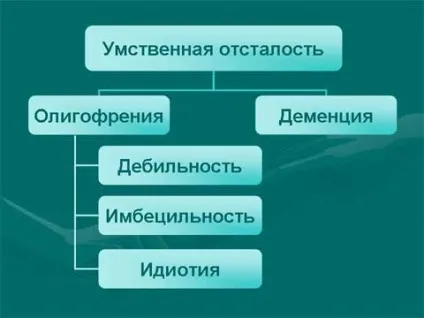 Олігофренія класифікація (ступеня, форми олігофренії), симптоми, причини, лікування, особливості (класифікація) Олігофренія класифікація (ступеня, форми олігофренії), симптоми, причини, лікування, особливості