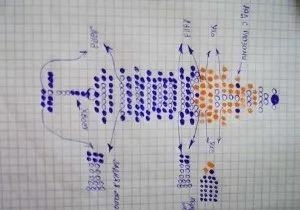 Собака з бісеру схема плетіння об'ємної фігурки (схема) Собака з бісеру схема плетіння об'ємної фігурки
