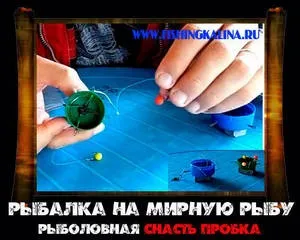 Снасть пробка для риболовлі на карася, ляща, коропа (снасть) Снасть пробка для риболовлі на карася, ляща, коропа