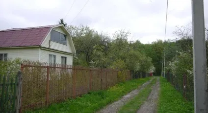 СНТ як розшифровується