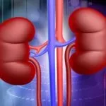 Органи мішені при гіпертонічній хворобі ураження при гіпертензії (органи) Органи мішені при гіпертонічній хворобі ураження при гіпертензії