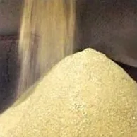Органічні добрива види і застосування (перегній) Органічні добрива види і застосування