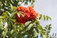 Ортопедичний санаторій турист - відгуки, діти, дитяче здоров'я (турист) Ортопедичний санаторій турист - відгуки, діти, дитяче здоров'я