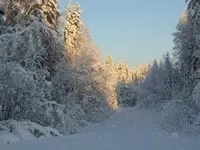 Опис природи Карелії