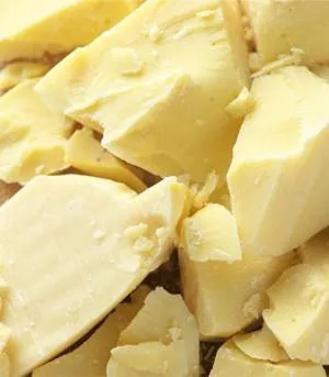 Про сферах застосування масла какао (какао) Про сферах застосування масла какао