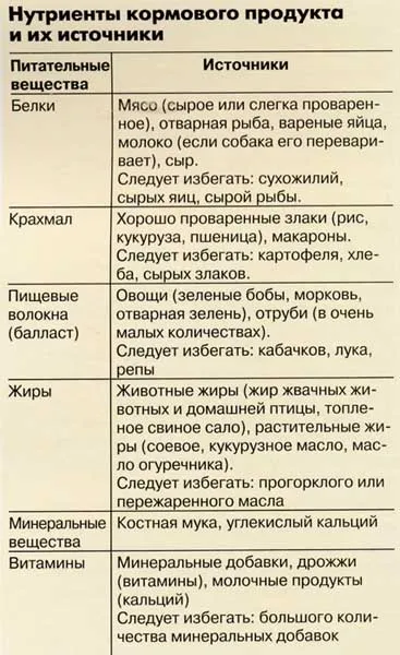 Основи годування собак