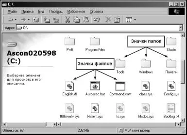 Основні елементи вікна в windows