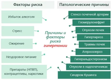 Органи мішені при гіпертонічній хворобі - визначення діагнозу (гіпертонічної) Органи мішені при гіпертонічній хворобі - визначення діагнозу