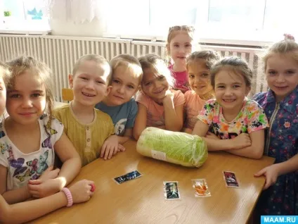 Досвід з пекінською капустою або, як п'ють рослини (для вчителів) Досвід з пекінською капустою або, як п'ють рослини