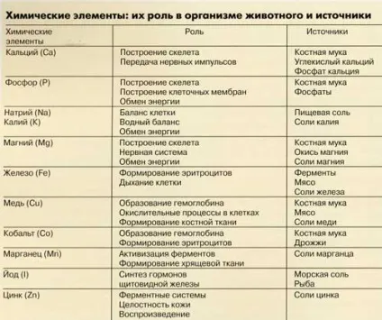 Основи годування собак