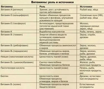 Основи годування собак