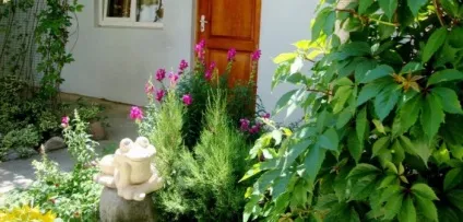 Відпочинок в морському готелі і пляжі, розваги та екскурсії (відпочинок) Відпочинок в морському готелі і пляжі, розваги та екскурсії