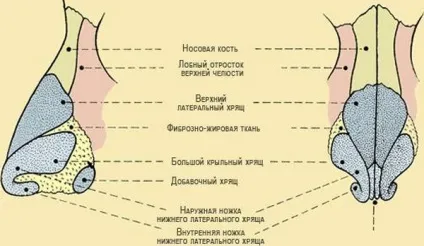 Набряк носа після ринопластики, фото лікування (фото) Набряк носа після ринопластики, фото лікування