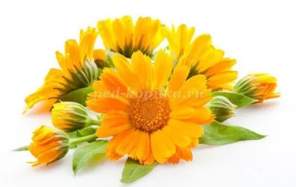 Листівка в техніці квіллінг