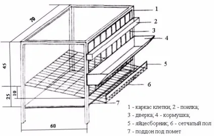 Особливості утримання курей в клітинах секрети і нюанси (змісту) Особливості утримання курей в клітинах секрети і нюанси