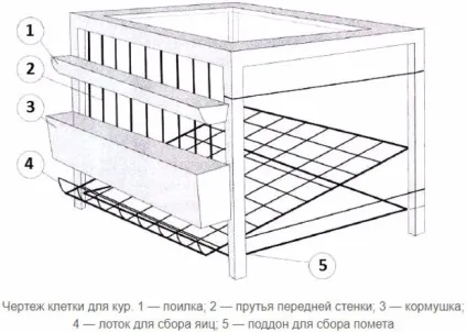 Особливості утримання курей в клітинах секрети і нюанси (клітки для утримання курей несучок) Особливості утримання курей в клітинах секрети і нюанси
