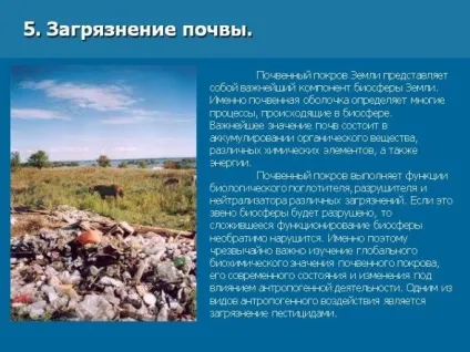 Основні забруднення грунту, джерела забруднення грунтів (забруднення) Основні забруднення грунту, джерела забруднення грунтів