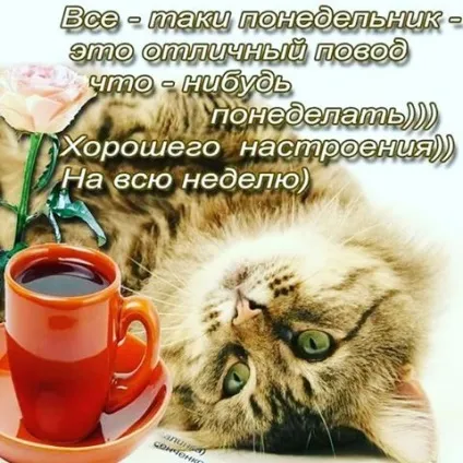 Про свободу і пріоритетах, клуб гармонійного тайм-менеджменту для мам (пріоритетах) Про свободу і пріоритетах, клуб гармонійного тайм-менеджменту для мам