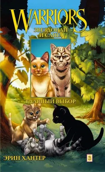 Owls - cats - комікси коти-воїни (книги Обкладинка книги) Owls - cats - комікси коти-воїни