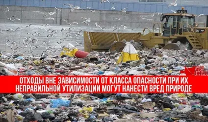 Відходи підлягають утилізації класифікація та способи збору (підлягають) Відходи підлягають утилізації класифікація та способи збору