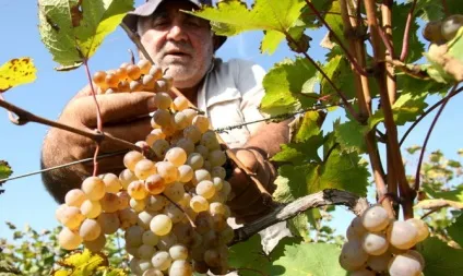 Павло марсо біографія, цікаві факти