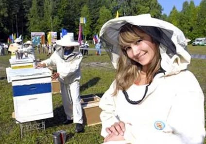Пасіка для початківців з чого почати, основні роботи
