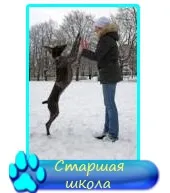 Пес рано будить вас