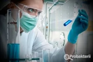 Живильне середовище для бактерій зростання і культивування в мікробіології (поживна) Живильне середовище для бактерій зростання і культивування в мікробіології
