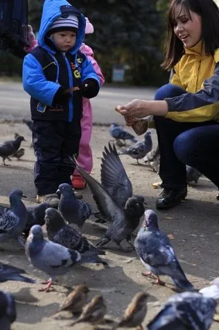 Пікнік по-англійськи