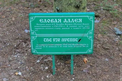 Перше знайомство з Пушкіногорья (Пушкіногорья) Перше знайомство з Пушкіногорья