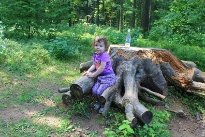 Перше знайомство з Пушкіногорья (Пушкіногорья) Перше знайомство з Пушкіногорья