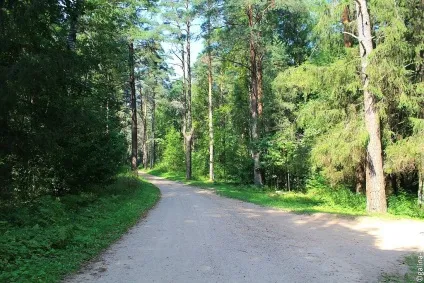 Перше знайомство з Пушкіногорья (Пушкіногорья) Перше знайомство з Пушкіногорья