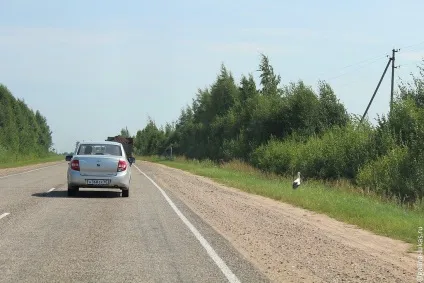 Перше знайомство з Пушкіногорья (Пушкіногорья) Перше знайомство з Пушкіногорья