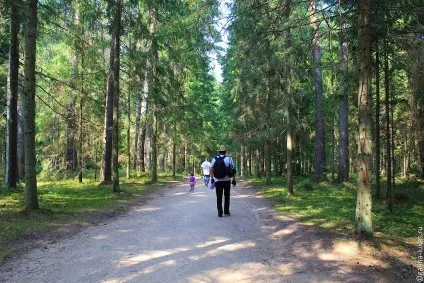 Перше знайомство з Пушкіногорья (Пушкіногорья) Перше знайомство з Пушкіногорья