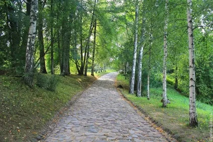 Перше знайомство з Пушкіногорья (Пушкіногорья) Перше знайомство з Пушкіногорья