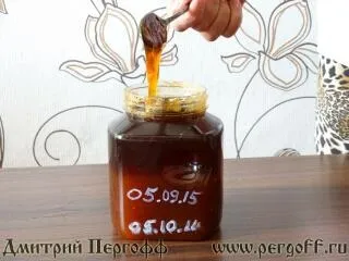 Чому бродить мед