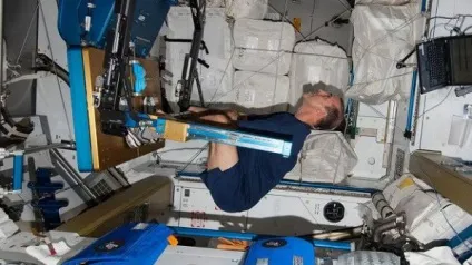 Чому люди не можуть впасти в зимову сплячку (виконувати фізичні вправи) Чому люди не можуть впасти в зимову сплячку