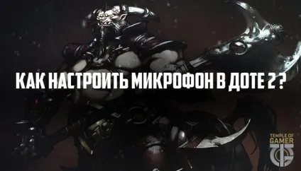 Чому не працює мікрофон в доті 2 - як налаштувати і включити мікрофон в dota 2 reborn (налаштувати) Чому не працює мікрофон в доті 2 - як налаштувати і включити мікрофон в dota 2 reborn