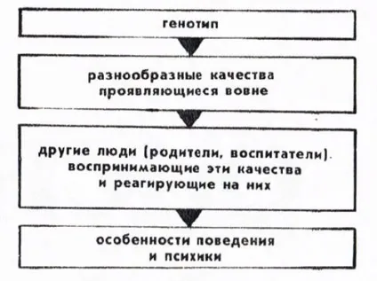 Чому люди різні