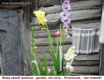 Чому не щастить у житті - ви живете не своє життя