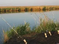 Підбір повідця для поплавковою снасті (повідця) Підбір повідця для поплавковою снасті