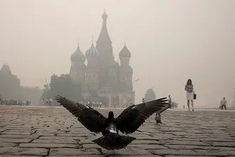 Чому п'ять років тому було аномально жарко і чому зараз літо таке холодне