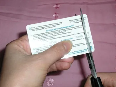 Підклеювання і масаж вух у чихуахуа - загальні питання про породу - чихуахуа (підклеювання) Підклеювання і масаж вух у чихуахуа - загальні питання про породу - чихуахуа